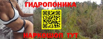 гашик Краснознаменск