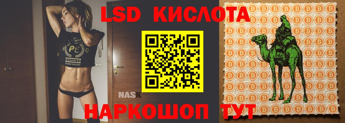 ЛСД экстази кислота  LSD-25 экстази  Заволжье  Вход с VPN  ЛСД экстази кислота 