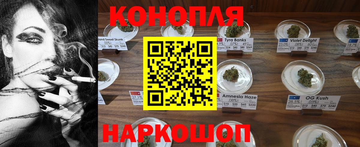 Бошки марихуана семена  Вход с VPN  Канабис сатива  Конопля AK-47  Заволжье 